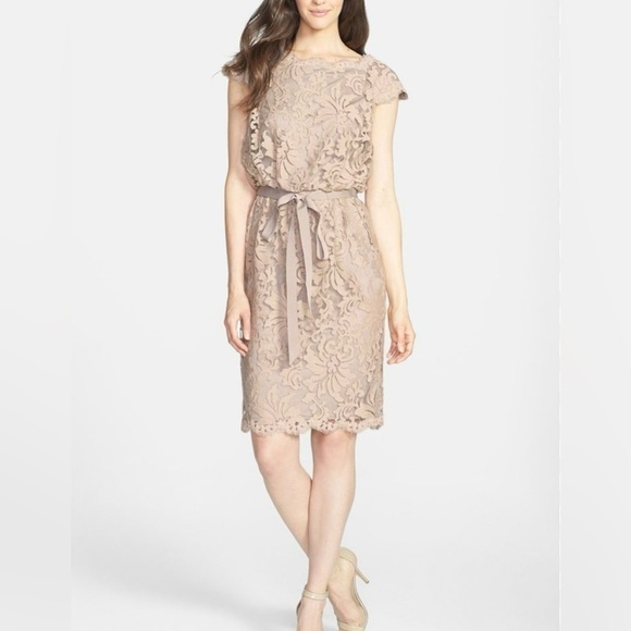 Tadashi Shoji Great Lace Blouson Dress - Size 4 - Picture 1 of 9